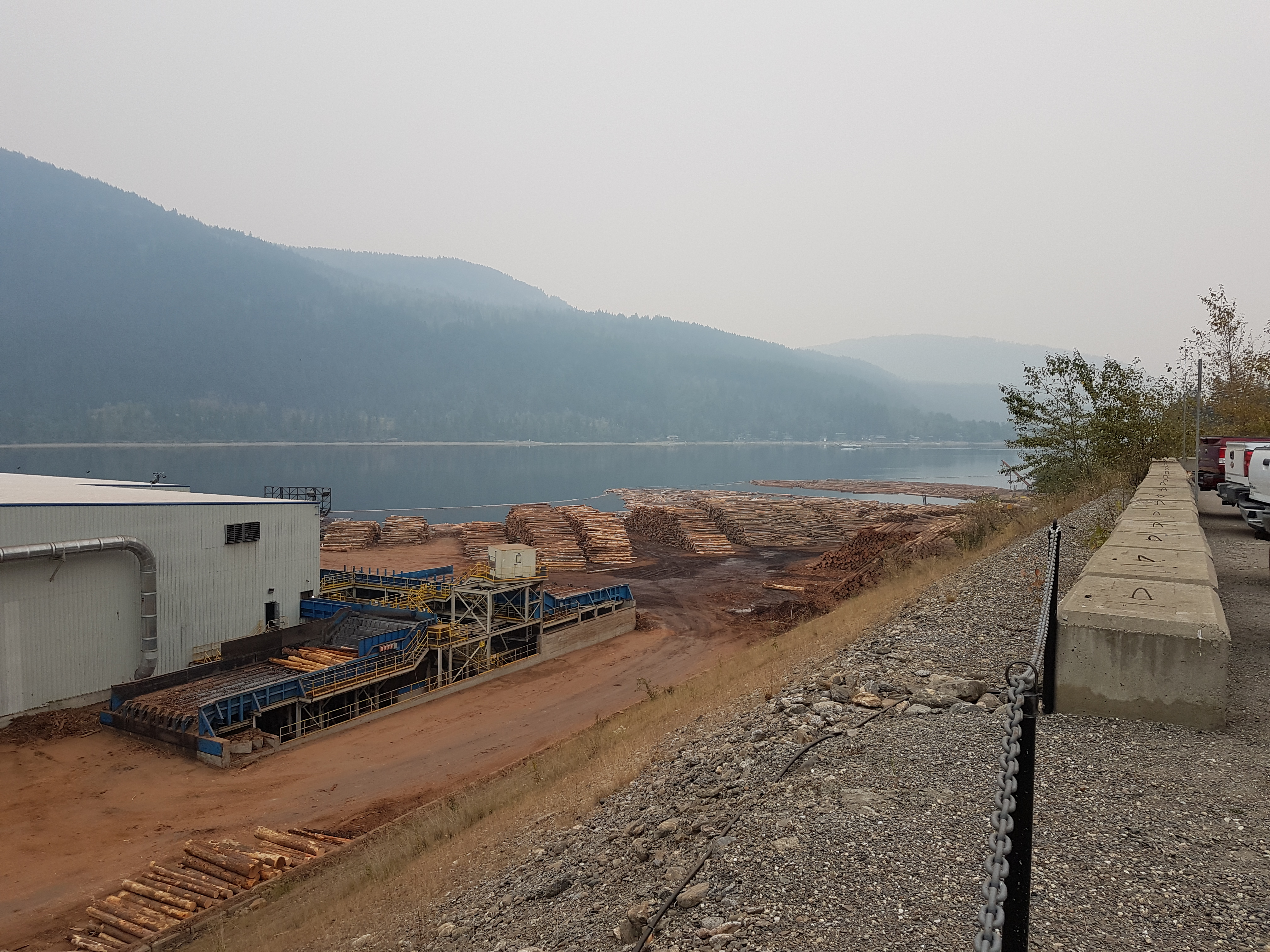 Wide angle photograph of the lumber mill yard